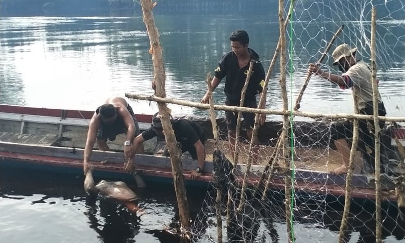 Pria Berkolor Ditemukan Mengapung di Sungai
