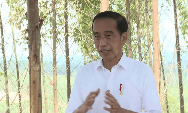 Lokasi Istana Jokowi di IKN: 800 Meter di Atas Permukaan Laut