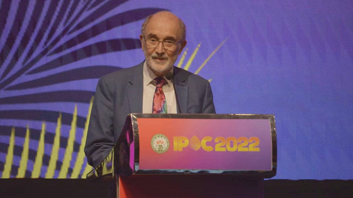 Menyoal Harga Minyak Sawit Kini Versus Biosolar